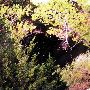 Alabaster Caverns State Park