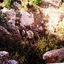 Alabaster Caverns State Park