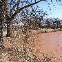 Mineral Wells Park