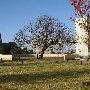 Oklahoma City National Memorial & Museum