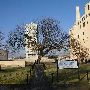 Oklahoma City National Memorial & Museum
