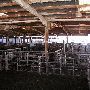 Oklahoma City Stockyards