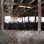 Oklahoma City Stockyards