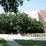 University of Oklahoma Campus