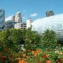 Myriad Botanical Gardens