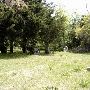 Wright's Cemetery