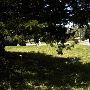 Wright's Cemetery