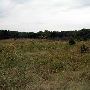 Tatanka Ranch