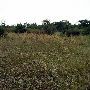 Tatanka Ranch