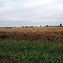 Route 66- El Reno