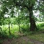 Pauls Valley Home 3