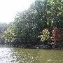 Grand Lake