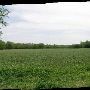 Sugarloaf Ranch