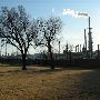 Conoco Phillips Refinery