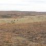 Hughes Ranch