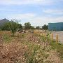 15th & Barnes