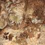 Alabaster Caverns State Park