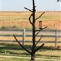 Sage and Saddle - Bed and Breakfast
