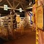 National Cowboy Hall of Fame & Western Heritage Museum