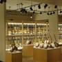 American Banjo Museum