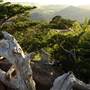 Mount Scott