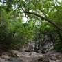 Turner Falls