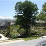 Myriad Botanical Gardens