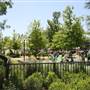 Myriad Botanical Gardens