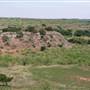 Sandy Sanders Wildlife Management Area