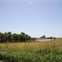 Silvertop Farm & Vineyards