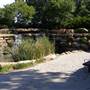 Centennial Park