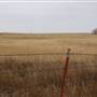 Woodward Intersection N1900 RD & E0390 RD