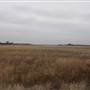 Nightmare in the Country - Kenton Ranch