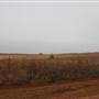 Dirt Road Intersection - Woodward
