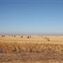 Hwy 412/36 - Guymon Area