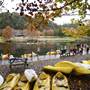 Beavers Bend & Hochatown State Park Lodge