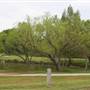 Dolese Youth Park