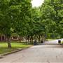 Lincoln Terrace Historic Neighborhood