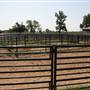 NFL Farms