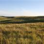 Hughes Ranch