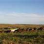 Hughes Ranch