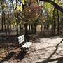 Martin Nature Park