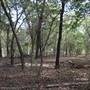 Camp DaKaNi