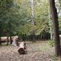 Camp DaKaNi