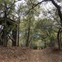 Camp DaKaNi