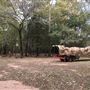 Camp DaKaNi