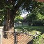 Williams Residence