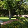 Southeastern Oklahoma State University