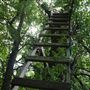 Stinchcomb Wildlife Refuge