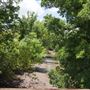 Stinchcomb Wildlife Refuge